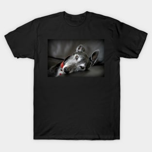 Grace T-Shirt